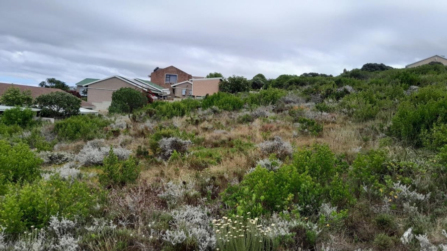 0 Bedroom Property for Sale in Dana Bay Western Cape